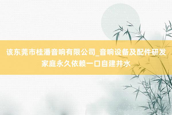 该东莞市桂潘音响有限公司_音响设备及配件研发家庭永久依赖一口自建井水