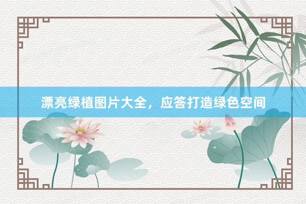 漂亮绿植图片大全，应答打造绿色空间