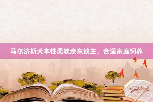 马尔济斯犬本性柔软亲东谈主，合适家庭饲养