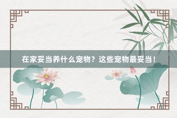 在家妥当养什么宠物？这些宠物最妥当！